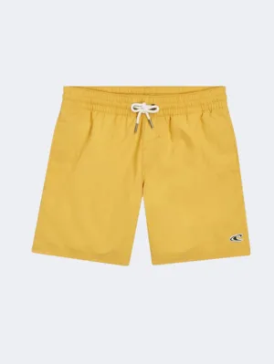 ONeill Vert 14 Inch Boys Beach Swim Short Golden Haze